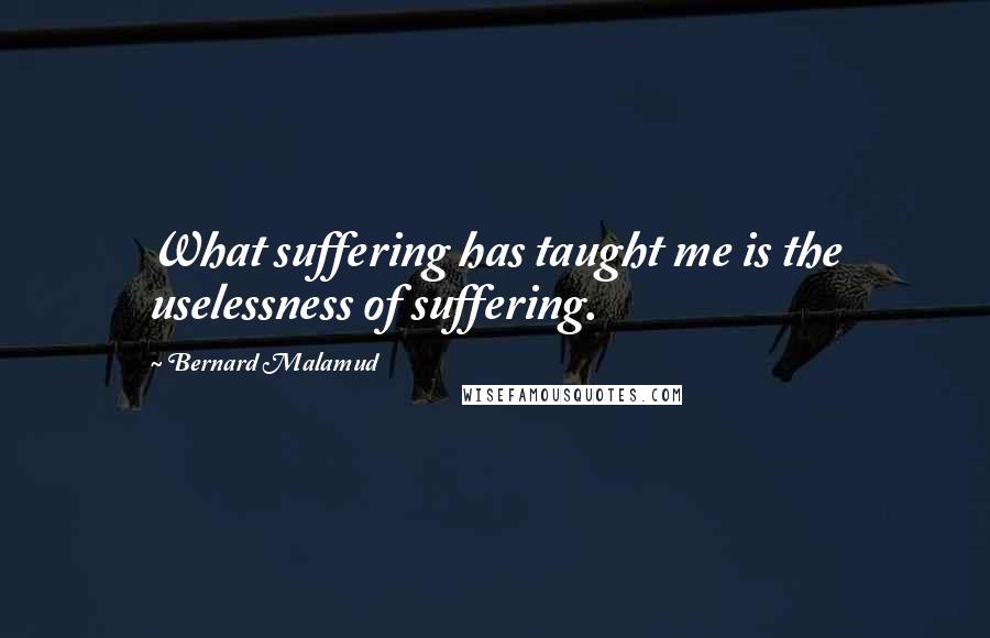 Bernard Malamud Quotes: What suffering has taught me is the uselessness of suffering.