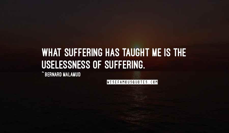 Bernard Malamud Quotes: What suffering has taught me is the uselessness of suffering.