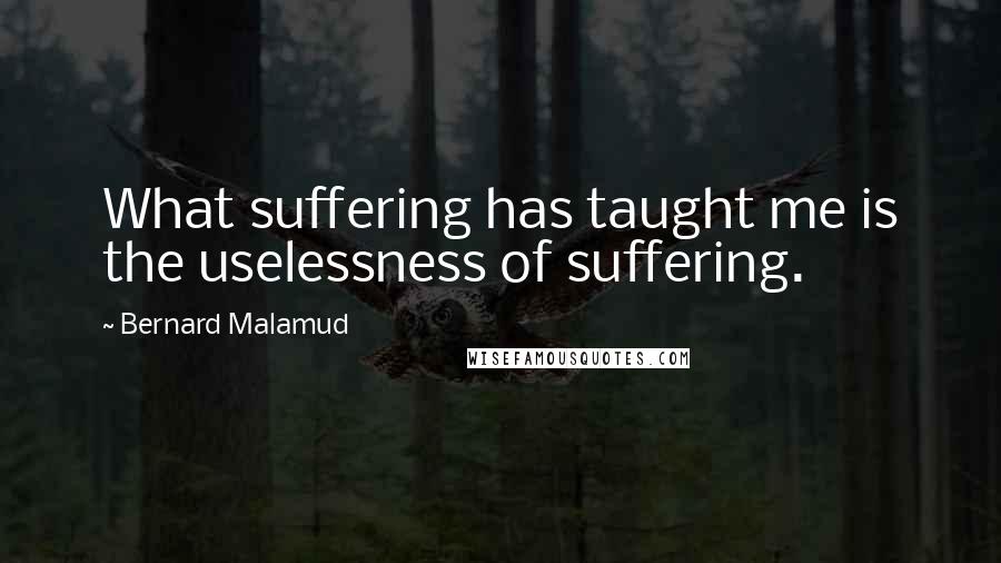 Bernard Malamud Quotes: What suffering has taught me is the uselessness of suffering.