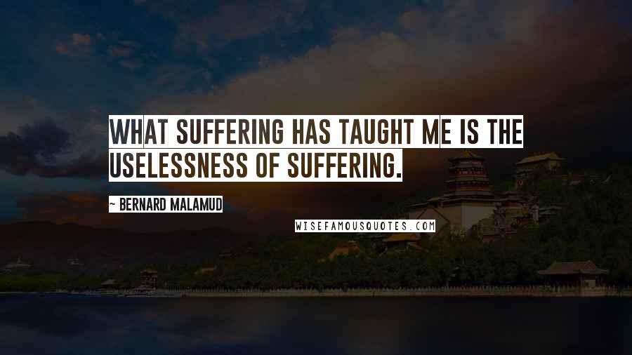 Bernard Malamud Quotes: What suffering has taught me is the uselessness of suffering.