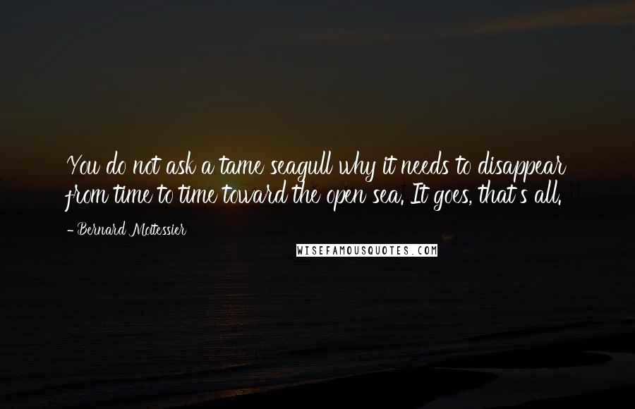 Bernard Moitessier Quotes: You do not ask a tame seagull why it needs to disappear from time to time toward the open sea. It goes, that's all.