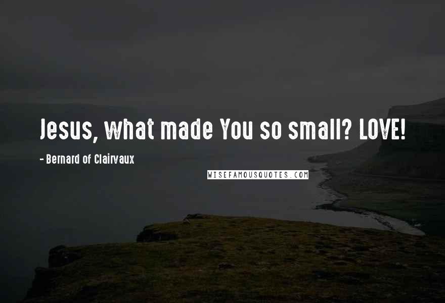 Bernard Of Clairvaux Quotes: Jesus, what made You so small? LOVE!