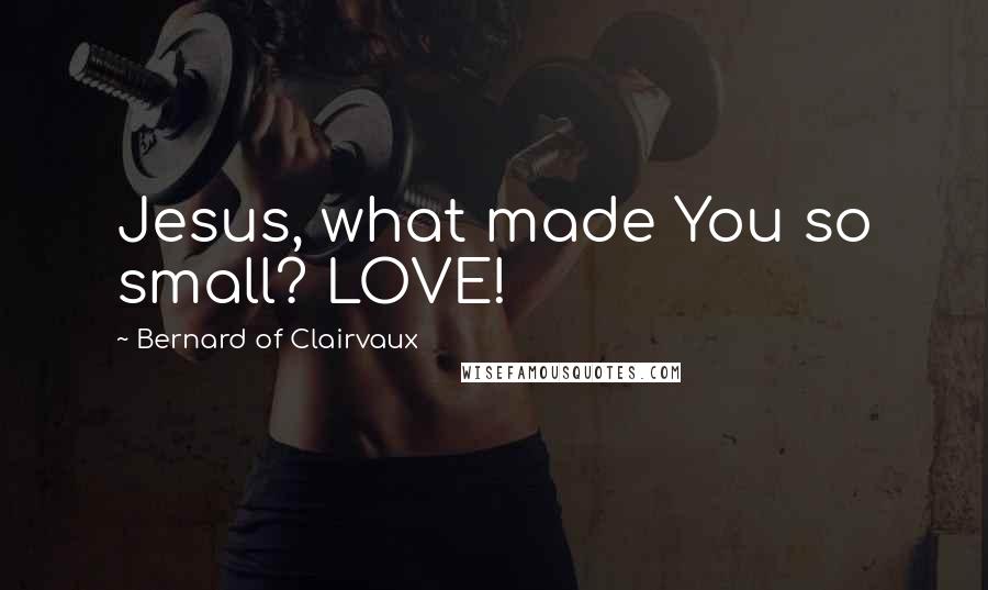 Bernard Of Clairvaux Quotes: Jesus, what made You so small? LOVE!