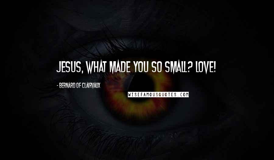 Bernard Of Clairvaux Quotes: Jesus, what made You so small? LOVE!