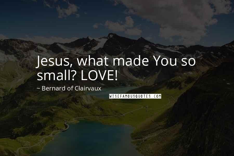 Bernard Of Clairvaux Quotes: Jesus, what made You so small? LOVE!