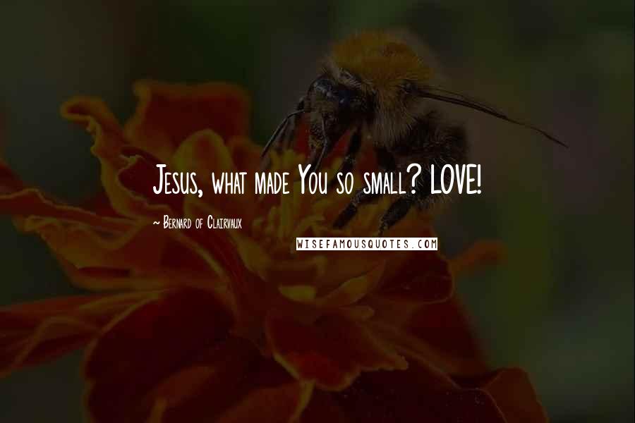 Bernard Of Clairvaux Quotes: Jesus, what made You so small? LOVE!