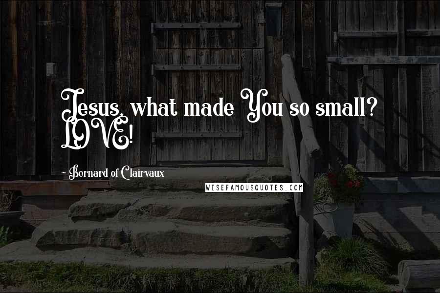 Bernard Of Clairvaux Quotes: Jesus, what made You so small? LOVE!