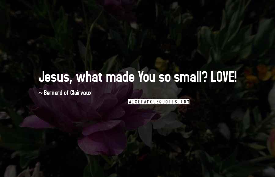 Bernard Of Clairvaux Quotes: Jesus, what made You so small? LOVE!