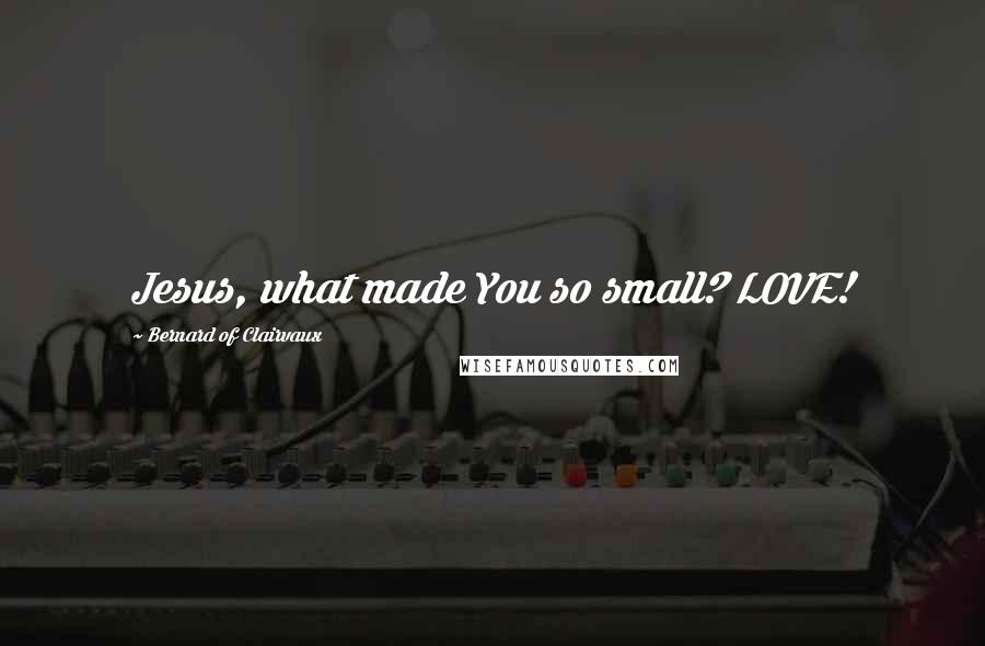 Bernard Of Clairvaux Quotes: Jesus, what made You so small? LOVE!