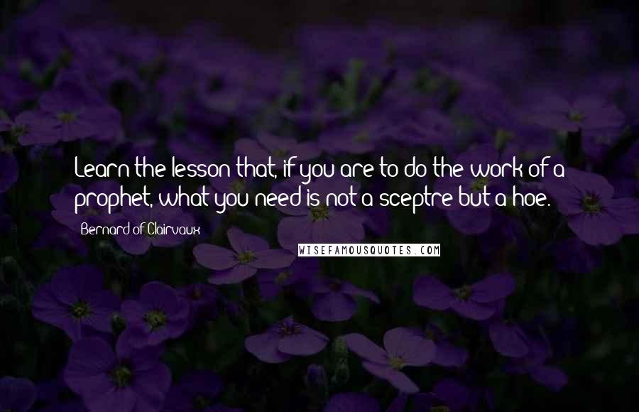 Bernard Of Clairvaux Quotes: Learn the lesson that, if you are to do the work of a prophet, what you need is not a sceptre but a hoe.