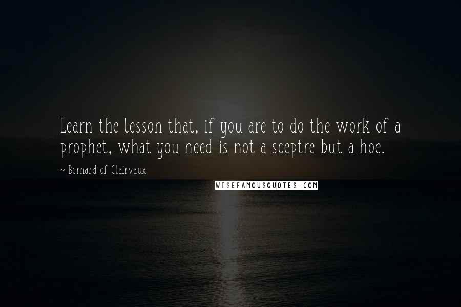 Bernard Of Clairvaux Quotes: Learn the lesson that, if you are to do the work of a prophet, what you need is not a sceptre but a hoe.