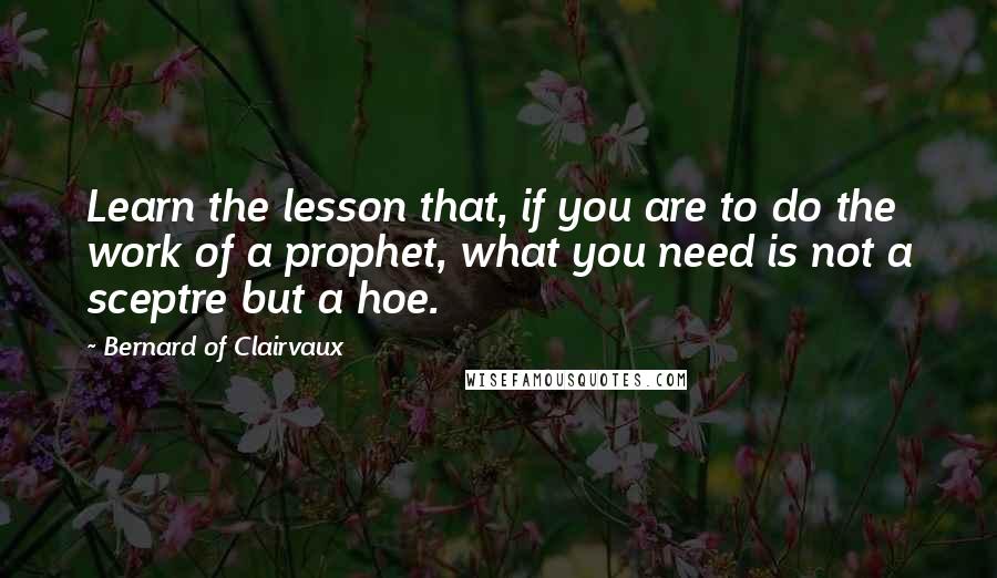 Bernard Of Clairvaux Quotes: Learn the lesson that, if you are to do the work of a prophet, what you need is not a sceptre but a hoe.