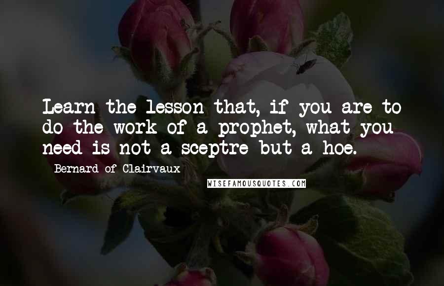 Bernard Of Clairvaux Quotes: Learn the lesson that, if you are to do the work of a prophet, what you need is not a sceptre but a hoe.