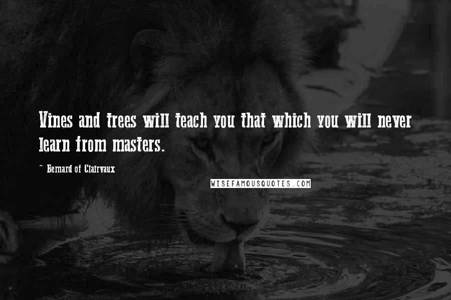 Bernard Of Clairvaux Quotes: Vines and trees will teach you that which you will never learn from masters.