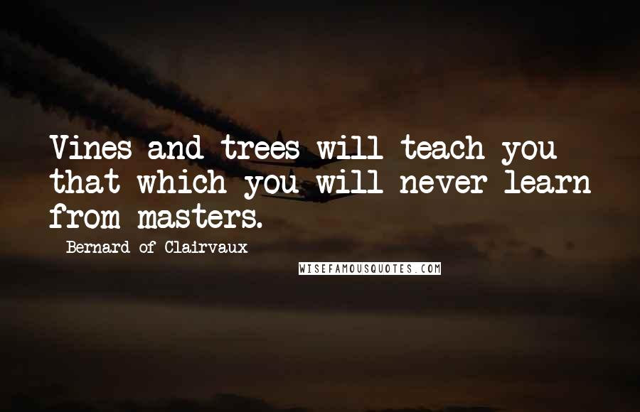 Bernard Of Clairvaux Quotes: Vines and trees will teach you that which you will never learn from masters.