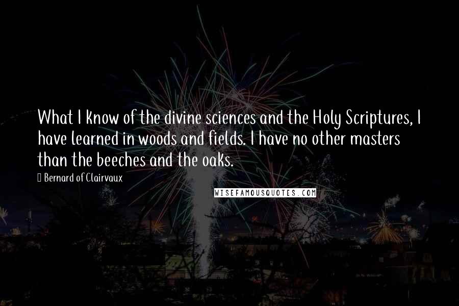 Bernard Of Clairvaux Quotes: What I know of the divine sciences and the Holy Scriptures, I have learned in woods and fields. I have no other masters than the beeches and the oaks.