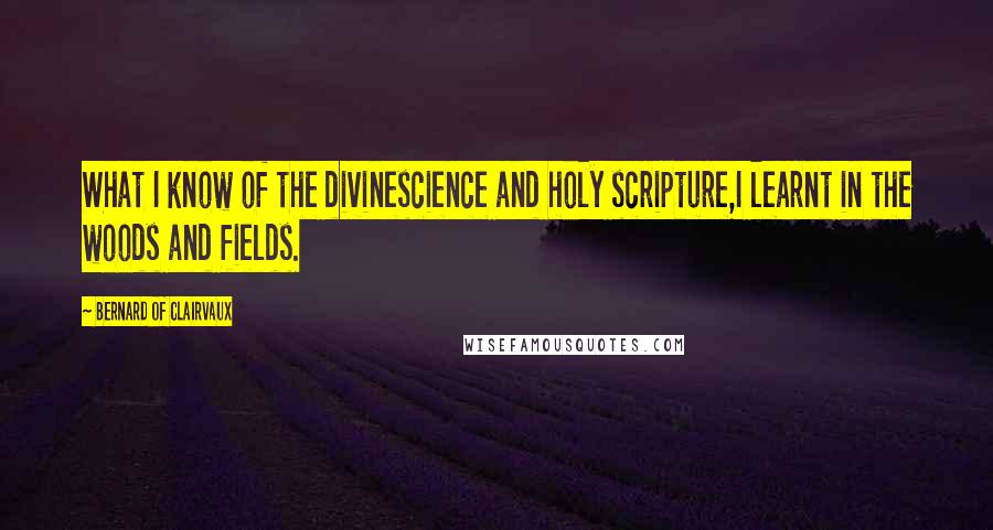 Bernard Of Clairvaux Quotes: What I know of the divinescience and holy scripture,I learnt in the woods and fields.