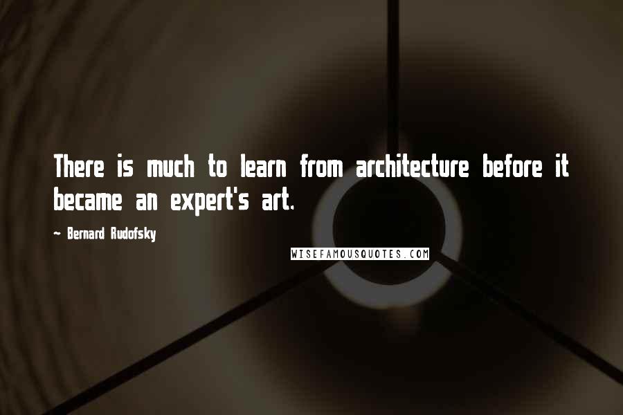 Bernard Rudofsky Quotes: There is much to learn from architecture before it became an expert's art.