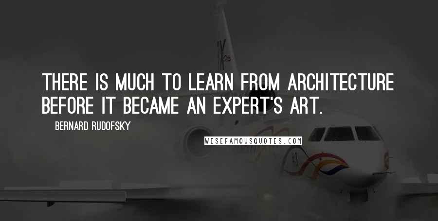 Bernard Rudofsky Quotes: There is much to learn from architecture before it became an expert's art.