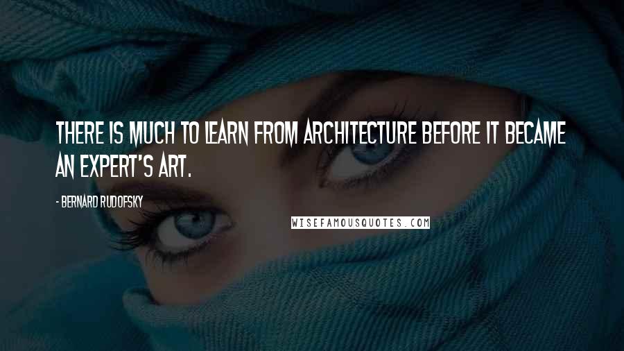 Bernard Rudofsky Quotes: There is much to learn from architecture before it became an expert's art.