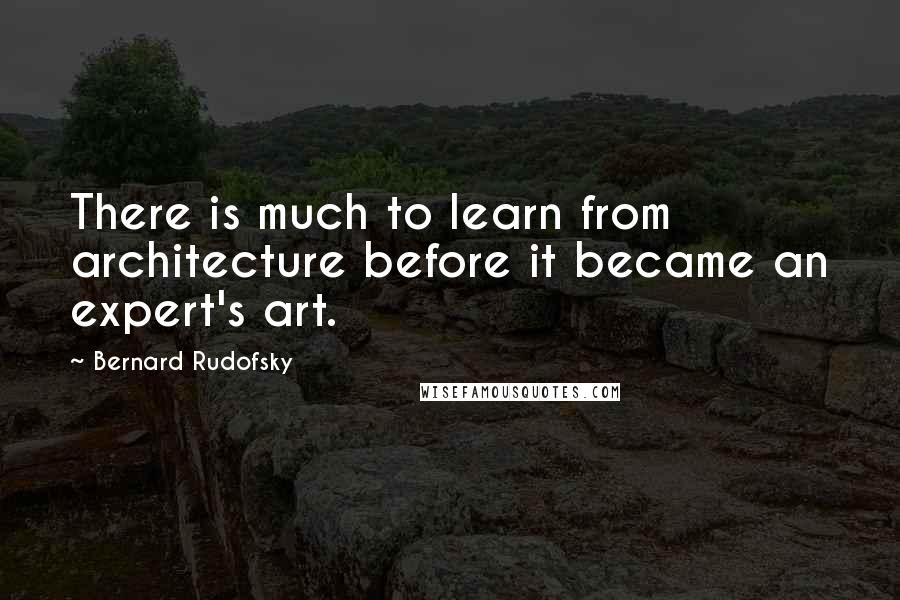 Bernard Rudofsky Quotes: There is much to learn from architecture before it became an expert's art.