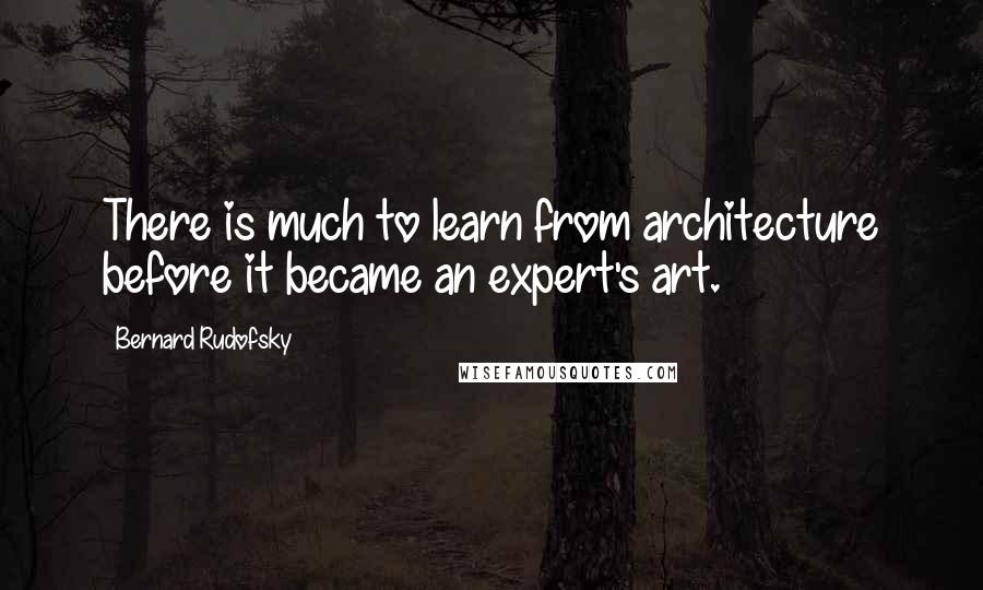 Bernard Rudofsky Quotes: There is much to learn from architecture before it became an expert's art.