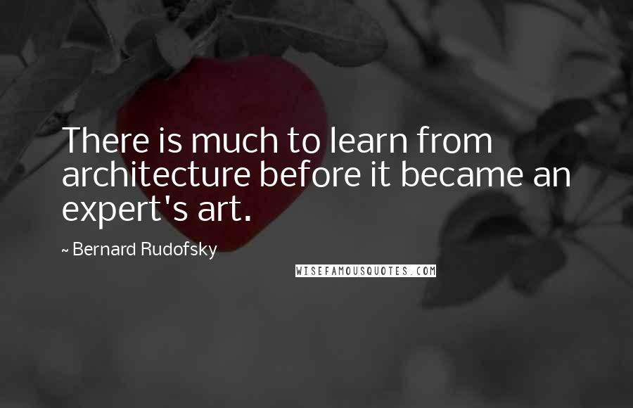 Bernard Rudofsky Quotes: There is much to learn from architecture before it became an expert's art.