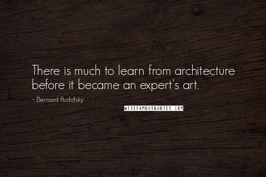 Bernard Rudofsky Quotes: There is much to learn from architecture before it became an expert's art.