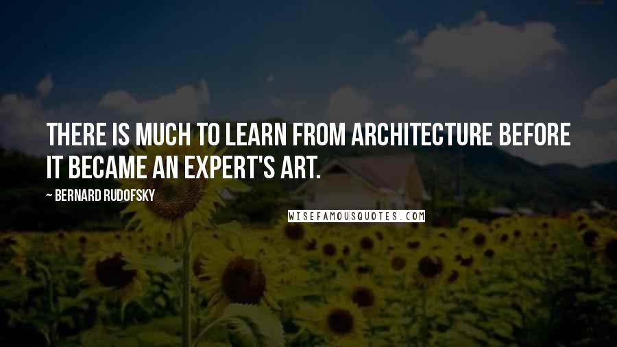 Bernard Rudofsky Quotes: There is much to learn from architecture before it became an expert's art.