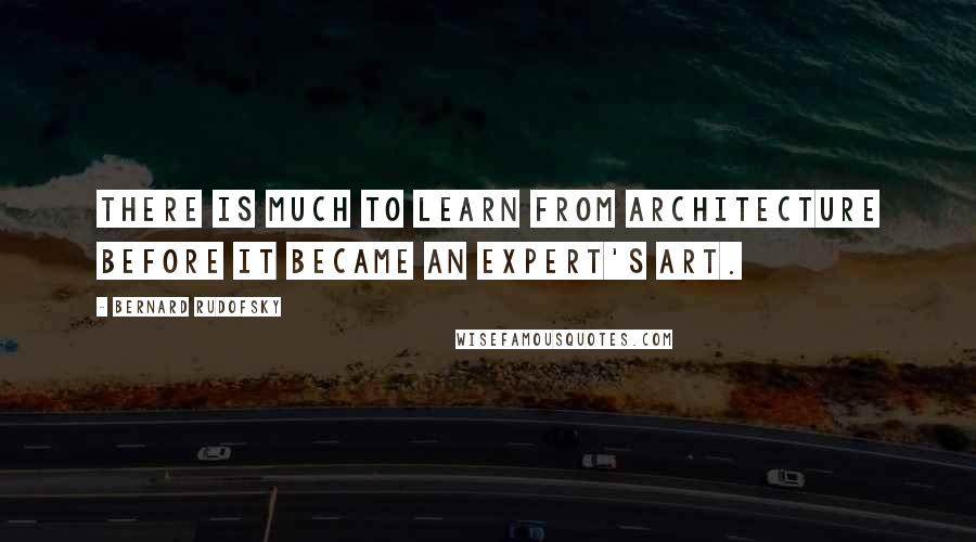 Bernard Rudofsky Quotes: There is much to learn from architecture before it became an expert's art.