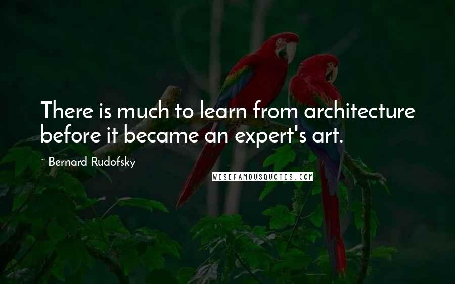 Bernard Rudofsky Quotes: There is much to learn from architecture before it became an expert's art.