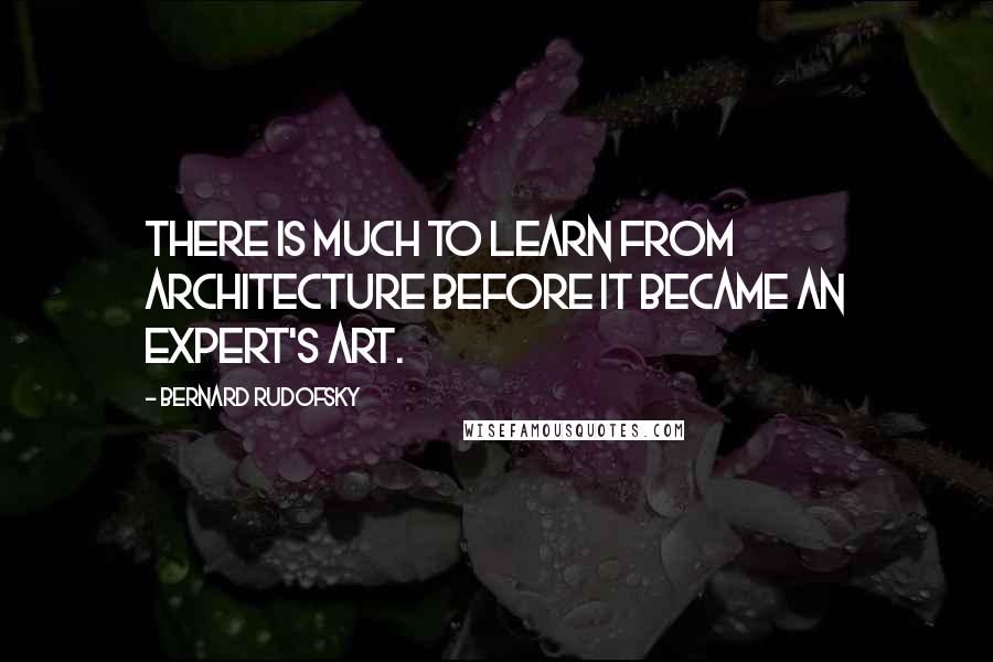 Bernard Rudofsky Quotes: There is much to learn from architecture before it became an expert's art.