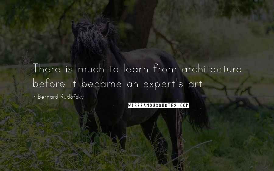 Bernard Rudofsky Quotes: There is much to learn from architecture before it became an expert's art.