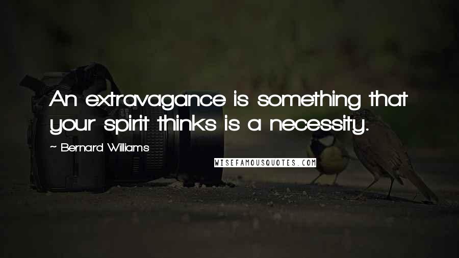 Bernard Williams Quotes: An extravagance is something that your spirit thinks is a necessity.