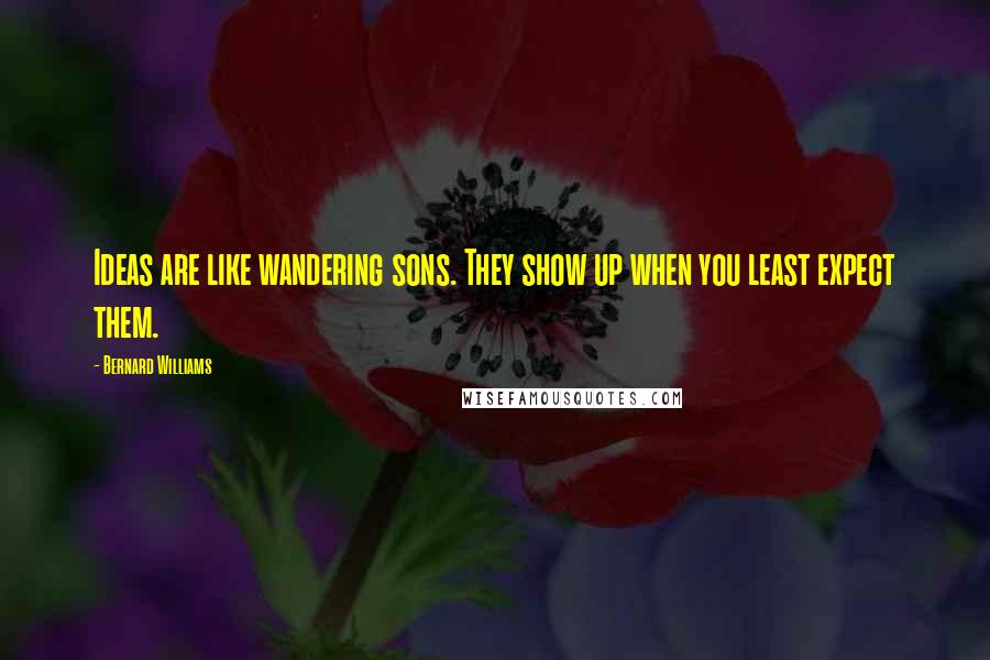 Bernard Williams Quotes: Ideas are like wandering sons. They show up when you least expect them.