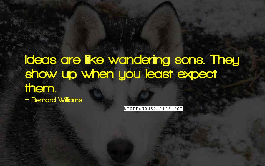 Bernard Williams Quotes: Ideas are like wandering sons. They show up when you least expect them.