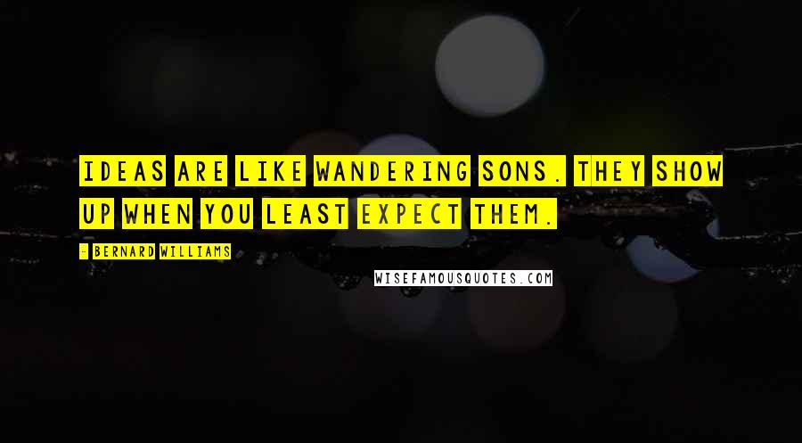 Bernard Williams Quotes: Ideas are like wandering sons. They show up when you least expect them.