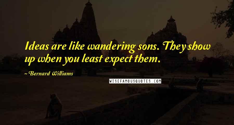 Bernard Williams Quotes: Ideas are like wandering sons. They show up when you least expect them.