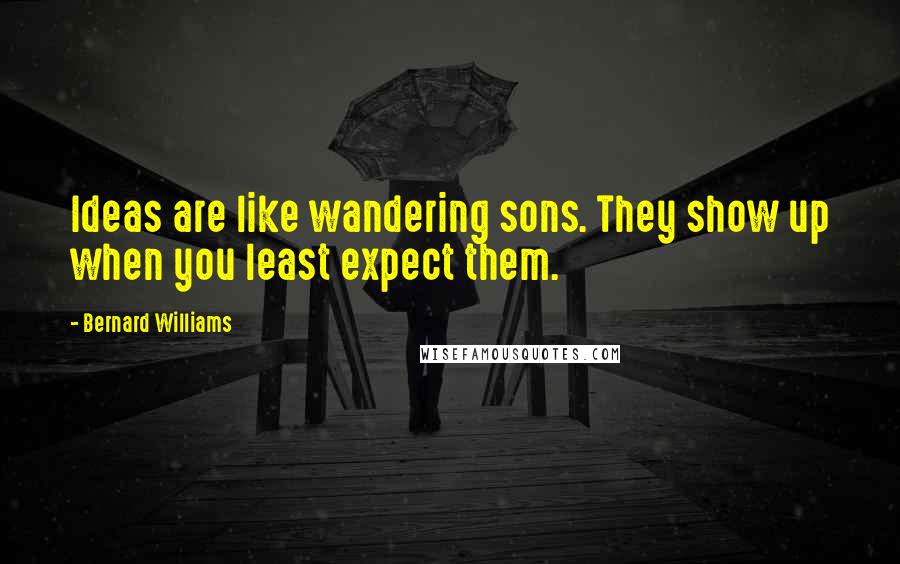 Bernard Williams Quotes: Ideas are like wandering sons. They show up when you least expect them.