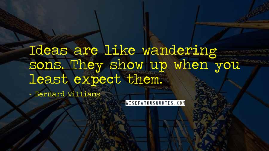 Bernard Williams Quotes: Ideas are like wandering sons. They show up when you least expect them.