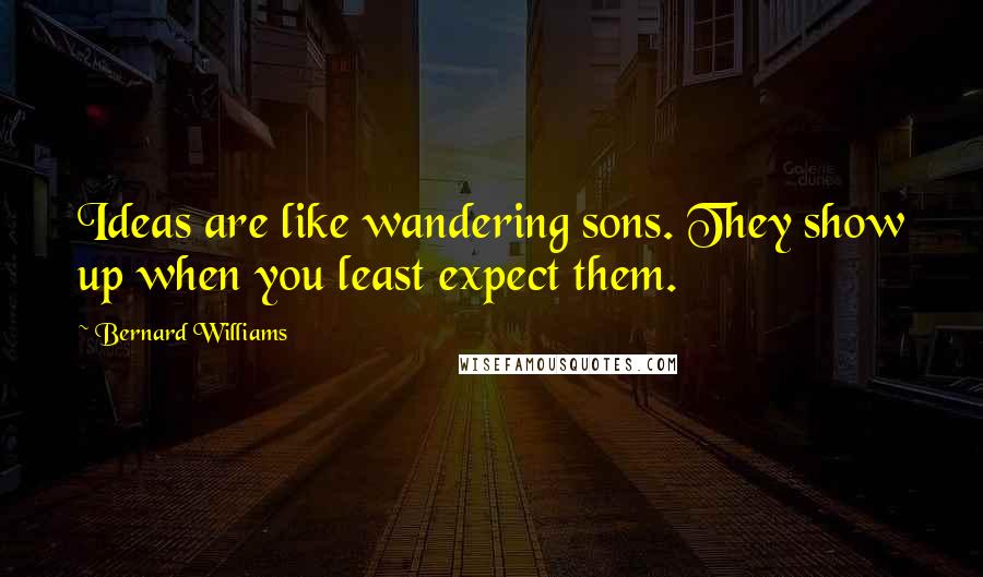 Bernard Williams Quotes: Ideas are like wandering sons. They show up when you least expect them.