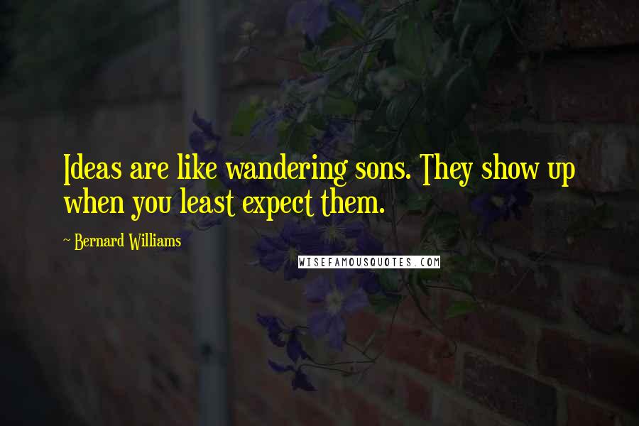 Bernard Williams Quotes: Ideas are like wandering sons. They show up when you least expect them.