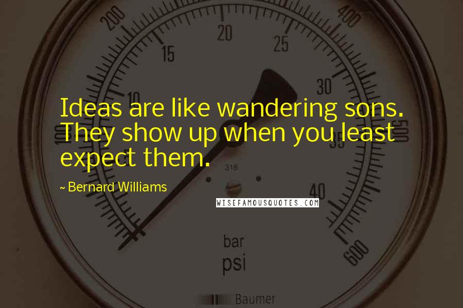 Bernard Williams Quotes: Ideas are like wandering sons. They show up when you least expect them.