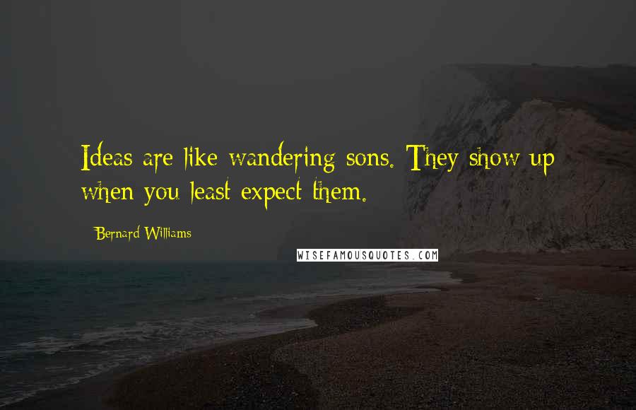 Bernard Williams Quotes: Ideas are like wandering sons. They show up when you least expect them.