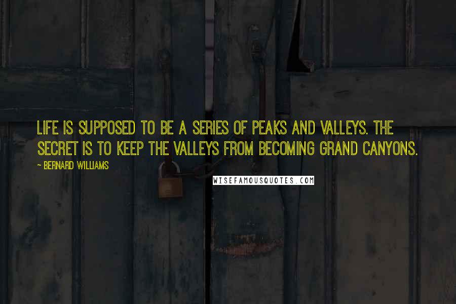 Bernard Williams Quotes: Life is supposed to be a series of peaks and valleys. The secret is to keep the valleys from becoming Grand Canyons.