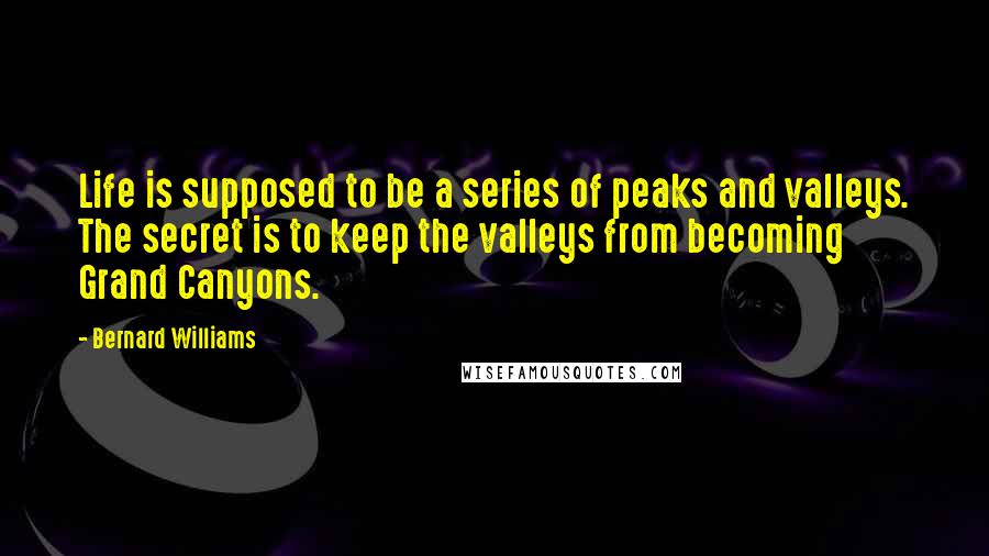 Bernard Williams Quotes: Life is supposed to be a series of peaks and valleys. The secret is to keep the valleys from becoming Grand Canyons.