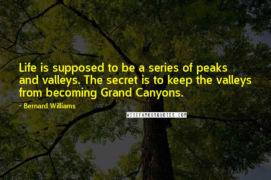 Bernard Williams Quotes: Life is supposed to be a series of peaks and valleys. The secret is to keep the valleys from becoming Grand Canyons.