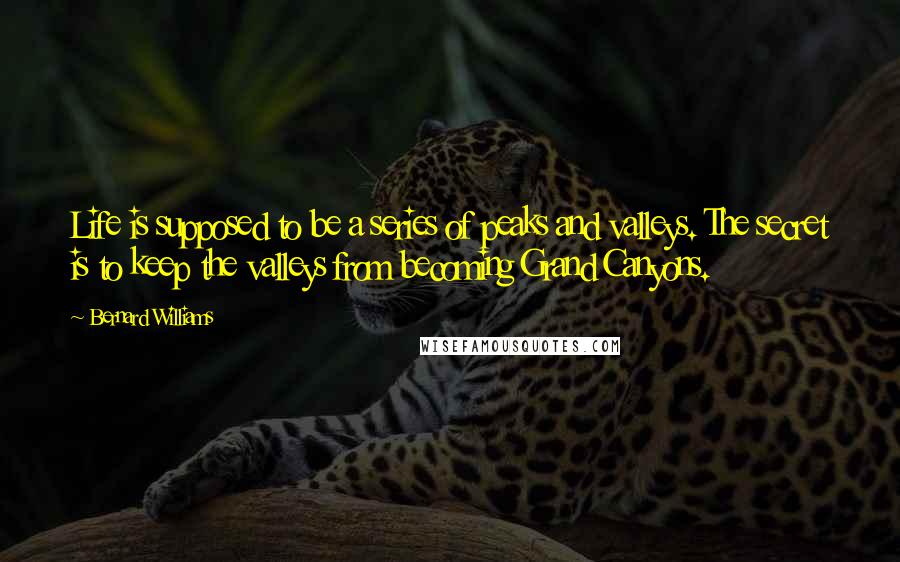 Bernard Williams Quotes: Life is supposed to be a series of peaks and valleys. The secret is to keep the valleys from becoming Grand Canyons.