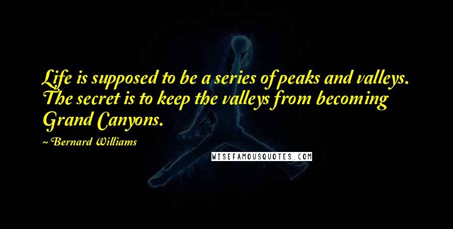 Bernard Williams Quotes: Life is supposed to be a series of peaks and valleys. The secret is to keep the valleys from becoming Grand Canyons.