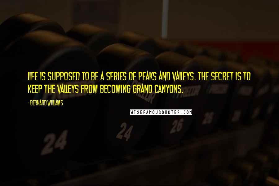 Bernard Williams Quotes: Life is supposed to be a series of peaks and valleys. The secret is to keep the valleys from becoming Grand Canyons.